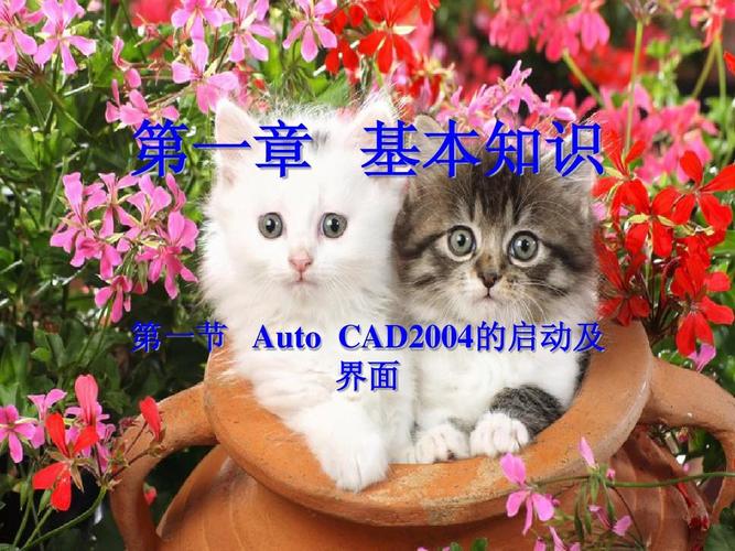 计算机辅助绘图1.ppt